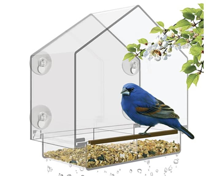 Here’s How a Bird Feeder Can Be a Daily Mood Booster Apartment Therapy